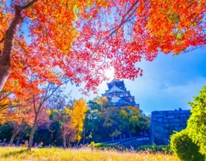 大阪おすすめ登録支援機関