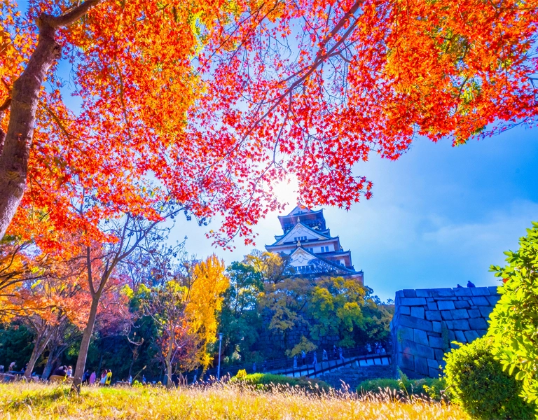 大阪おすすめ登録支援機関